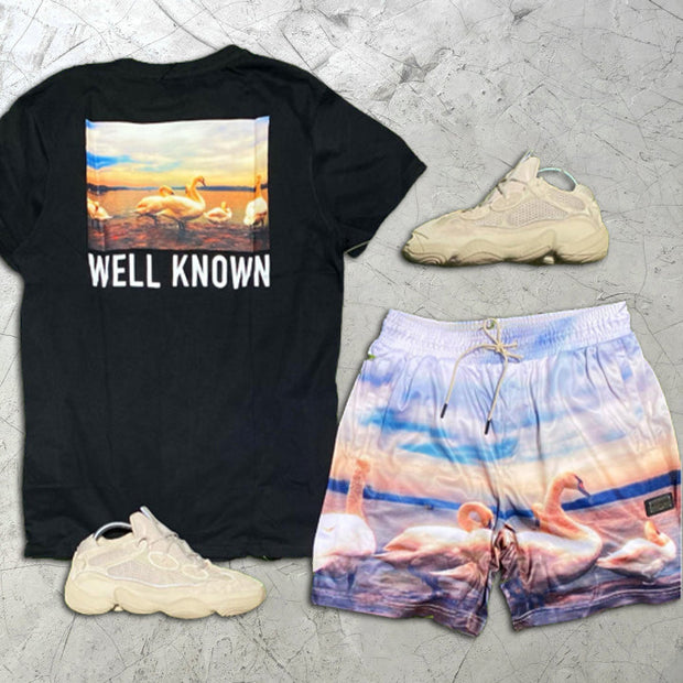 Graphic Print Short Sleeve Two-Piece Shorts