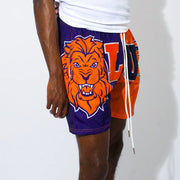 Casual street patchwork mesh shorts
