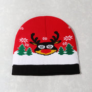 Christmas warm knitted hats for men and women