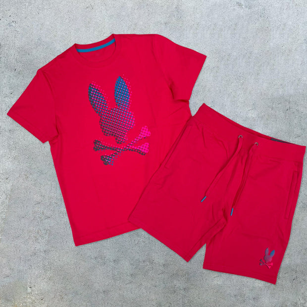 Fashion Preppy Rabbit Loose T-Shirt Shorts Two-Piece Set