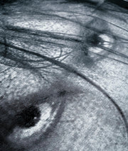 Street black and white portrait print T-shirt