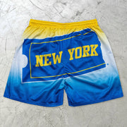 Gradient Butterfly New York Fashion Mesh Shorts