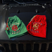 Butterfly Vintage Mesh Shorts