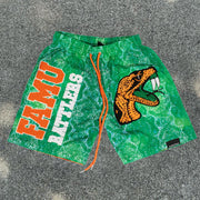 Varsity printed mesh shorts