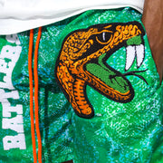 Varsity printed mesh shorts