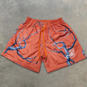 Twig Graphic Print Elastic Shorts