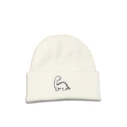Cute embroidery dinosaur knitted hat men's Japanese warm hat