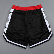 Contrast Panel Street Mesh Sports Loose Shorts